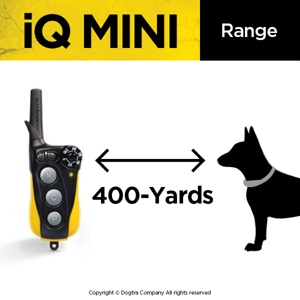 Dogtra clearance iq pet